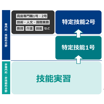 招聘信息